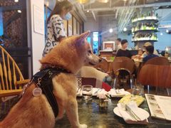 -the rug 飞毯 (朝阳公园店)