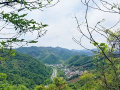 -午潮山国家森林公园