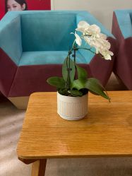 -Yestar艺星医疗美容医院