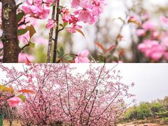-江苏三台山国家森林公园