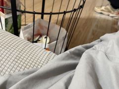 -紫燕百味鸡(鑫苑国际店)