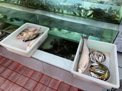 -魏四小鱼锅贴王