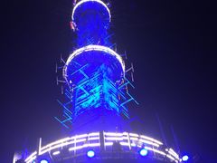 -辽宁电视塔