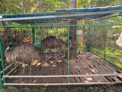 -西双版纳融创皇冠假日度假酒店