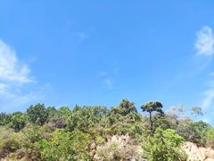 -北京西山国家森林公园