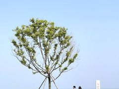 -巧克力渔家.小船海鲜家常菜(万平口店)