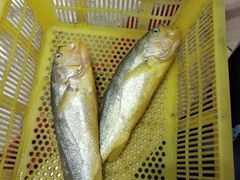 -丰收渔港饭店(嵊泗店)