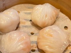 原只鲜虾饺-利苑酒家(合景国际金融广场店)