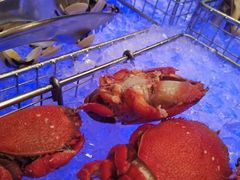 海鲜-源·咖啡自助餐厅·海鲜·烧烤·三文鱼(海口华彩洲际酒店)