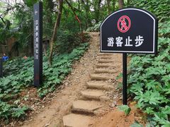 -马王堆汉墓遗址