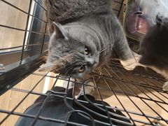 -第三空间·趣味桌游·轰趴.室内CS.剧本杀(大武汉1911店)