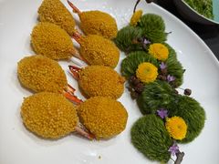 -茶人村·前滩江景雅宴(上海首店)