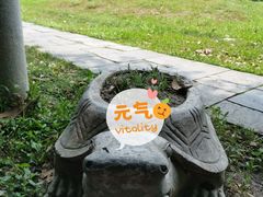 -东湖落雁景区