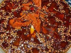 -红辣椒·川菜·火锅(张杨路店)