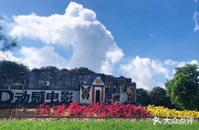 松山湖南湖湾露营营地图片