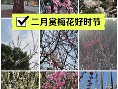 -静安雕塑公园