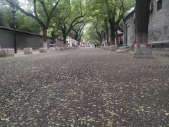 -北京首都机场希尔顿酒店