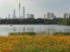 -海珠湖公园