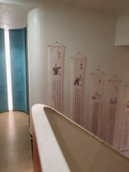-阅年轻·AI家庭健康体质调理
