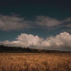 -薇兰专业脱毛连锁机构