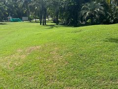 -海南清水湾莱佛士酒店