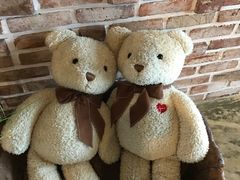 -济州岛泰迪熊博物馆