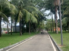 -深圳湾公园(南山区)