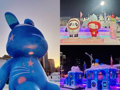 -沈阳奥体冰雪嘉年华