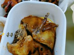 -百利鸽王(紫薇路店)