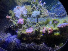 -南昌融创海世界