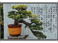 -棠樾牌坊群鲍家花园景区