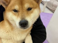 -怪兽屋·羊驼·猫咖·狗咖(俊华广场店)