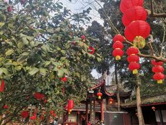 -峨眉山报国寺