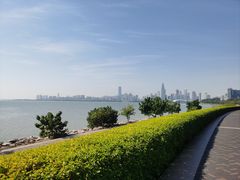 -深圳湾公园(南山区)