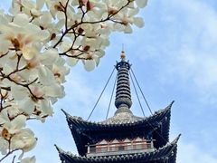 -上海方塔园