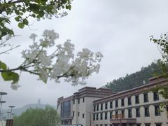 -塔尔寺