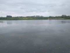 -东郊湿地公园