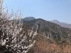 -北京鹫峰国家森林公园