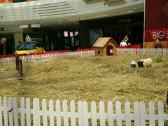 android_upload_pic-万达广场(泰州海陵店)