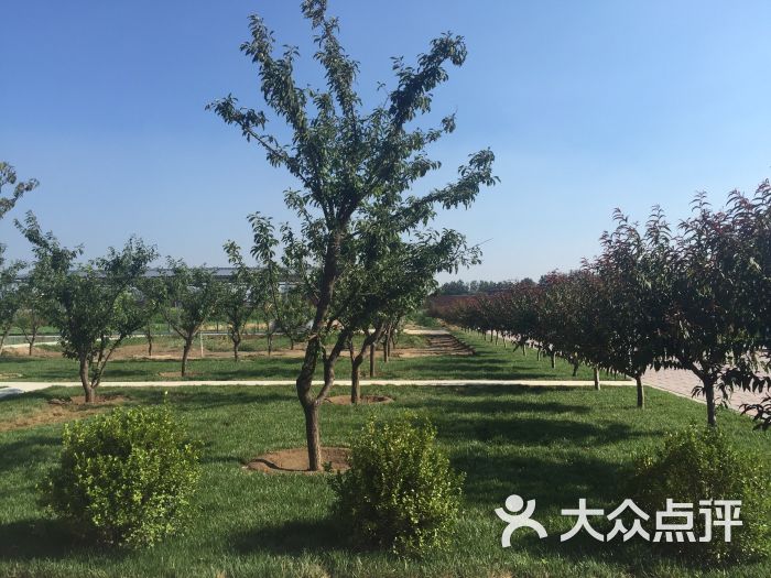 沁水园生态采摘垂钓园图片 - 第289张