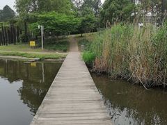 -美兰湖景区