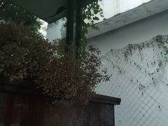 -绿房子方寸咖啡(星海名城店)