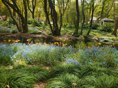 -上海共青森林公园