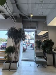 -Hair  Gallery