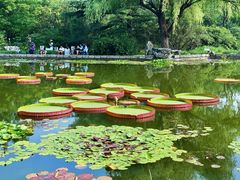 -国家植物园南园