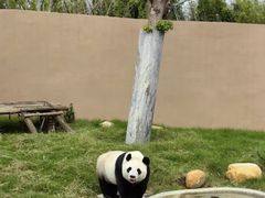 -红山体育度假乐园