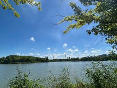 -昆山城市生态森林公园