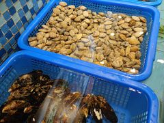 -宝燕壹号(长寿店)