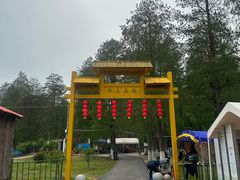 -渌洋湖湿地公园
