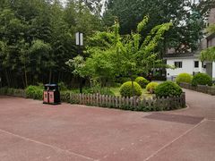 -莲花池公园